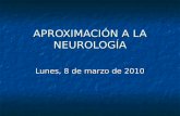 Eupo Neuro Tema 1  AproximacióN A La NeurologíA