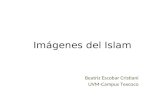 Imágenes del Islam