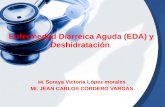 Enfermedad diarreica aguda (EDA) y deshidratacion