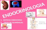 Endocrinologia introduccion y glandulas