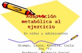 Adaptación metabólica al ejercicio radosta ocampo