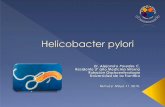 Helicobacter pylori y su importancia clínica