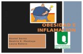 Obesidad e inflamacion