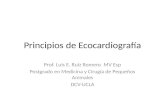 Principios De Ecocardiografía