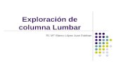 Exploración de columna lumbar