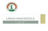 Lipasa pancreatica