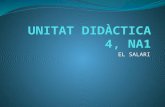 Unitat didàctica 4, na1