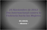 25N 2012 - IES Aricel