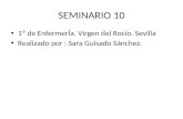 Seminario 10 , Sara Guisado