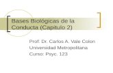 Bases Biologicas De La Conducta (Capitulo 2)