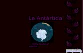 Antartida De Cerca