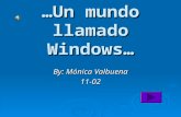 Un mundo llamado windows