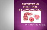 Enfermedad intestinal inflamatoria(eii)