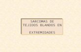 Sarcomas De Tejidos Blandos1