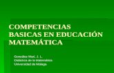 Competencias basicas en_educacion_matematica