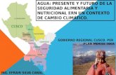 Gobierno Regional CUSCO, Perú, Plan Meriss Inka