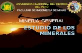 Tema 04 mg- estudio minerales