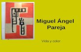 Miguel Ángel Pareja. Vida y Color