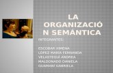 La organizacion semantica