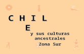 Pueblos originarios-de-chile-zona-sur