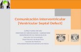 Comunicación interventricular [Ventricular Septal Defect]