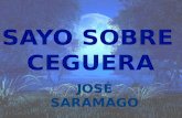 Ensayo sobre la ceguera José Saramago interpretación