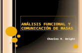 Analisis Funcional Y Comunicacion De Masas
