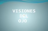 Visiones Del Ojo