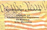 Constitución y derechos