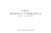 Lima Tambopata