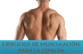 Ejercicios de musculación para la espalda