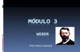 Modulo3 Weber