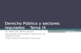 DERECHO DE LA ENERGÍA - TEMA IX - DERECHO PÚBLICO Y SECTORES REGULADOS