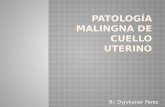 Patología malingna de cuello uterino
