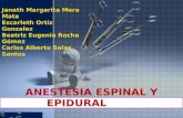 Anestesia espinal y epidural