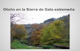 Otoño en la Sierra de Gata (Extremadura)