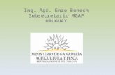 Consulta Regional sobre Políticas públicas en Semillas en América Latina, Por Ing. Enzo Benech