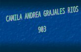 Camila andrea grajales rios 903