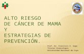 Como evaluar riesgo de cáncer de mama 2011