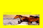 Cavalls blog