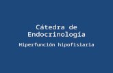 Hiperfunción hipofisiaria 1