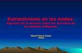 Extractivismo en los Andes