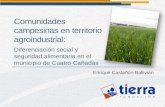 Cuatro Cañadas - Comunidades campesinas en territorio agroindustrial