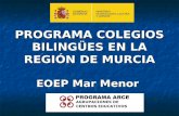 Programa colegios bilingues