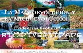 La macroevolución y la microevolución