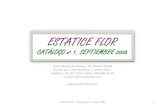 Estatice Flor Catalogo N 1 Septiembre 2008