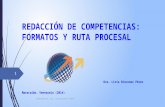 Mezzocurrículo: Redacción de competencias: formatos y ruta procesal-Dra.LiriaRincones 2014