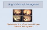 Simbologia dos Numeros em Lingua Gestual Portuguesa