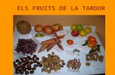Els Fruits De La Tardor (Joc De Lectura)