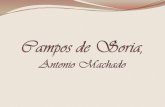 Campos De  Soria,  Antonio  Machado   Copia